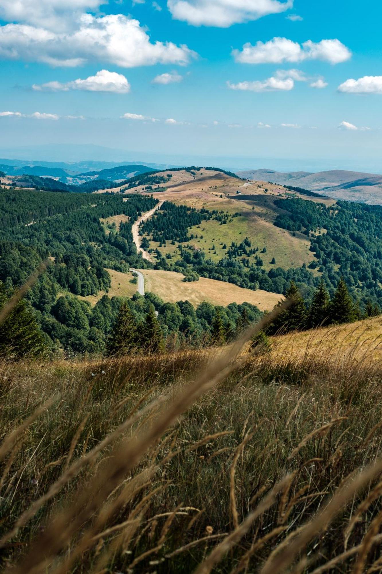 Apartmani Kraljevi Cardaci Kopaonik Exteriör bild