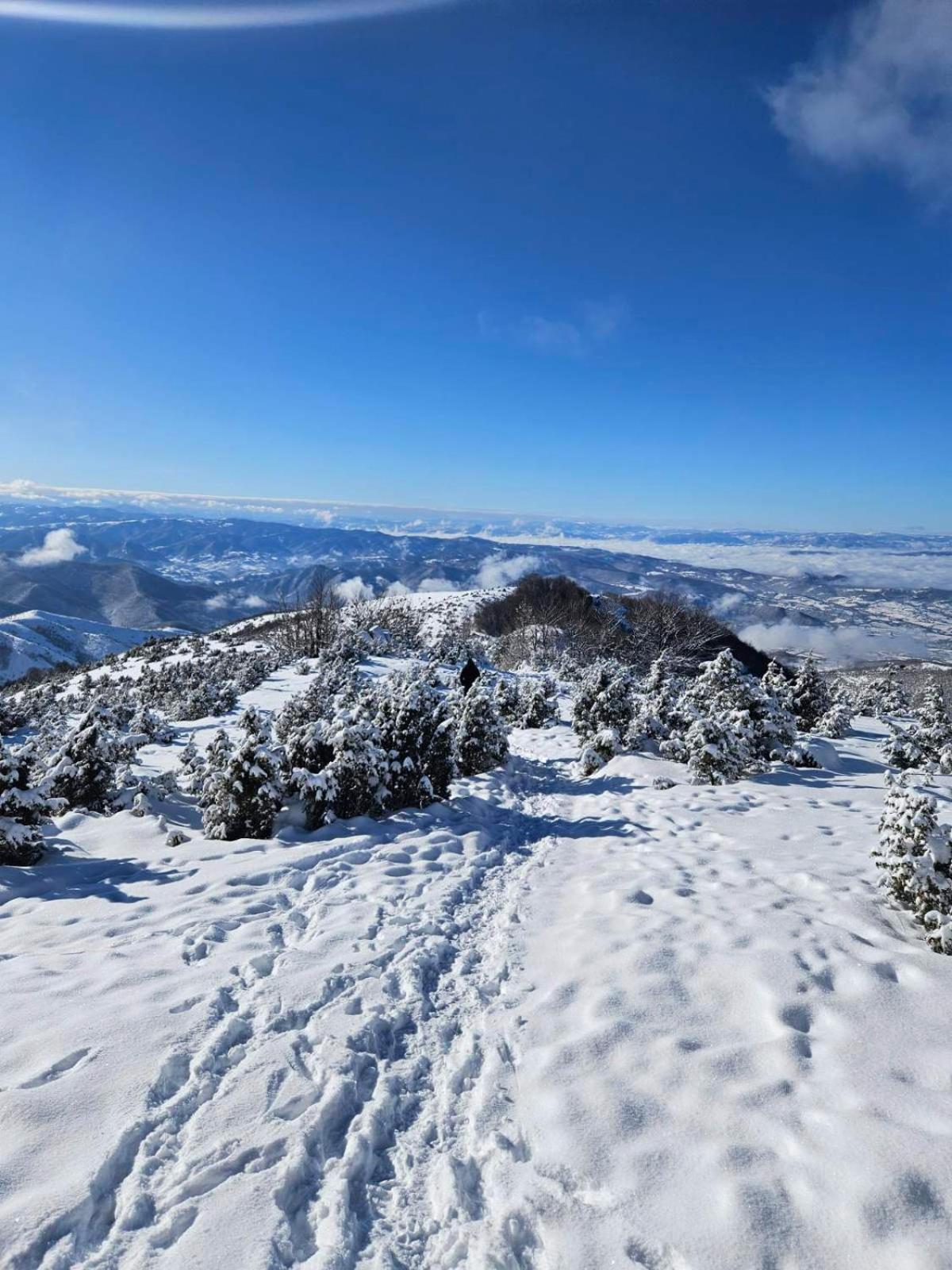 Apartmani Kraljevi Cardaci Kopaonik Exteriör bild